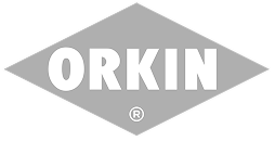 Orkin